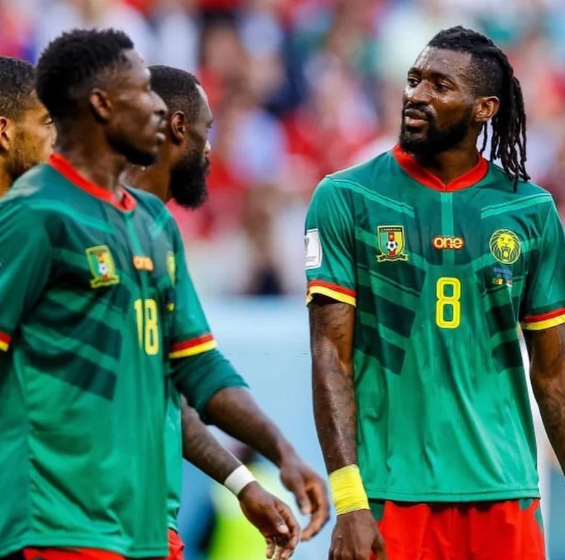 Hình ảnh cầu thủ Frank Anguissa 2