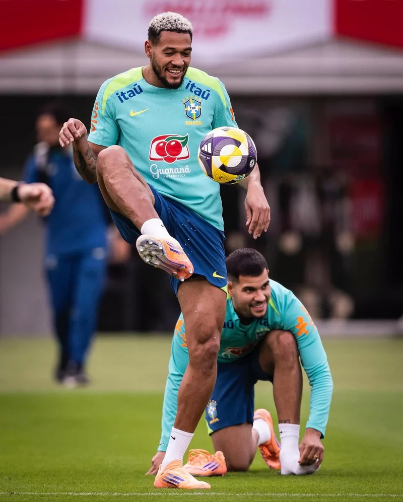 Joelinton – Chiến binh giữa tuyến của Eddie Howe