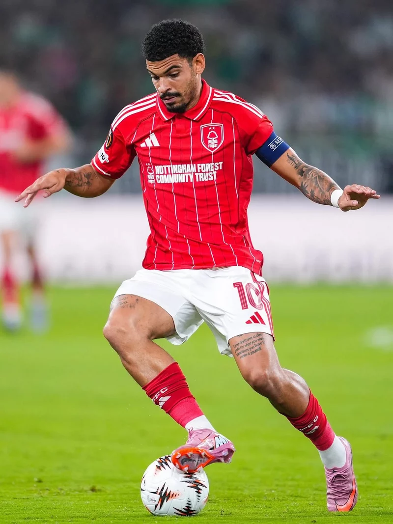 Hình ảnh cầu thủ Morgan Gibbs-White 1