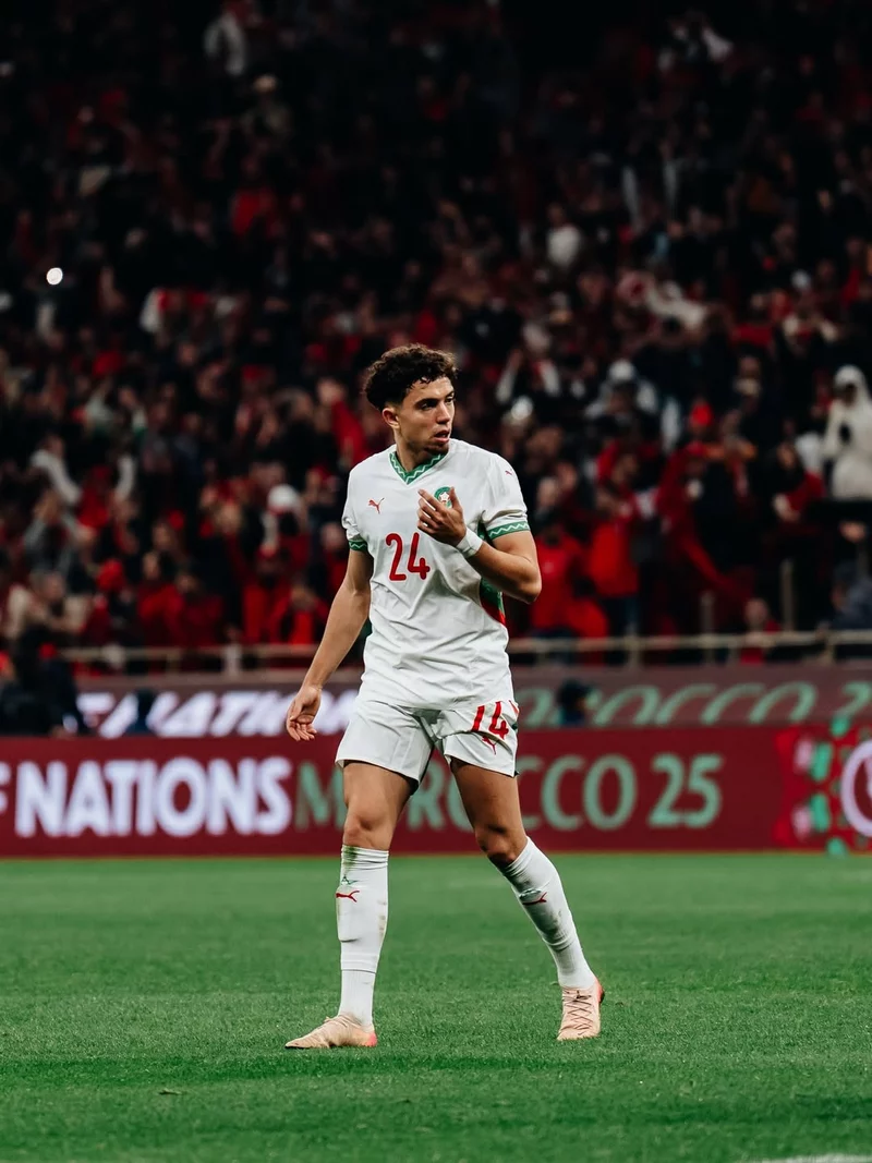 Hình ảnh cầu thủ Neil El Aynaoui 1