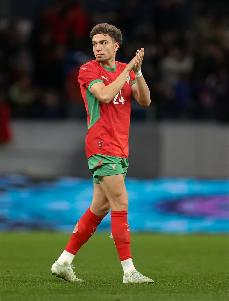 Hình ảnh cầu thủ Neil El Aynaoui 2