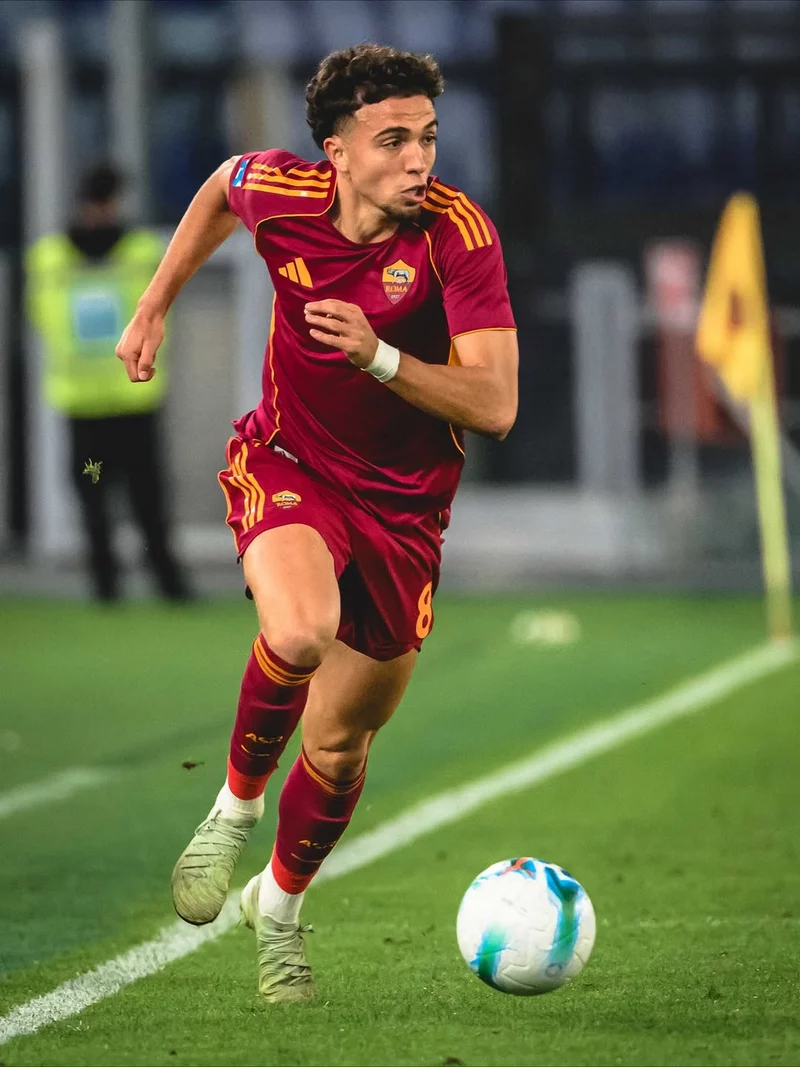 Hình ảnh cầu thủ Neil El Aynaoui 3